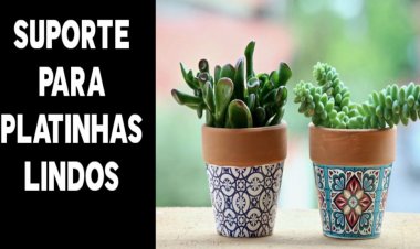 Plantinha para sua casa ficar linda