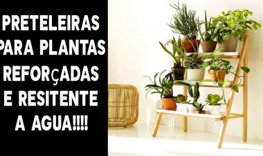 Prateleiras para flores, prateleiras para suculentas