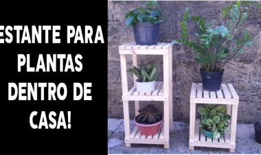 Estantes de plantas interior da casa