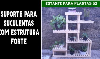 Suporte para suculentas em apartamentos