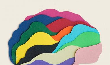 Resenha livro Mindset a nova psicologia do sucesso