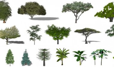 Arvores revit para download