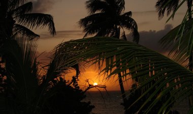 Eu gostaria de estar em outro lugar