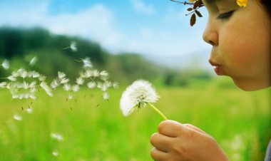 O que você está procurando fazer da vida.