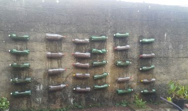 Garrafas pets! –  Jardim vertical com garrafas pets!