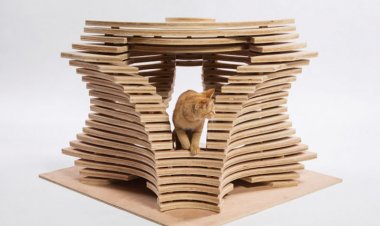 Gatos, designers criam novos brinquedos para os bichanos