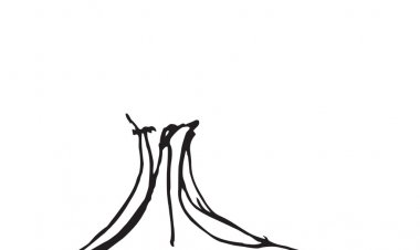 Pensamentos arquitetonicos