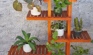Estante para Plantas feito em madeira modelo 45