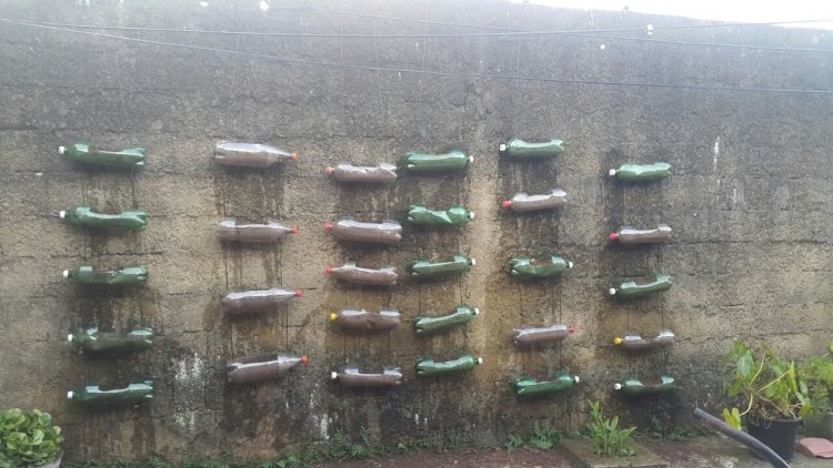 Garrafas pets! –  Jardim vertical com garrafas pets!